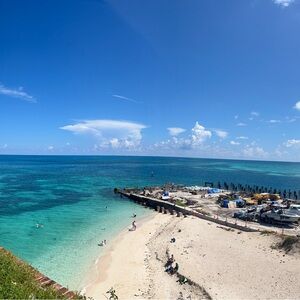 Meet your Posher, Riley